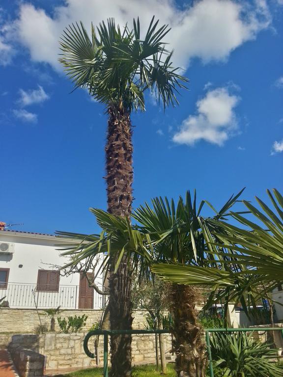 Villa Lara Karojba Стая снимка