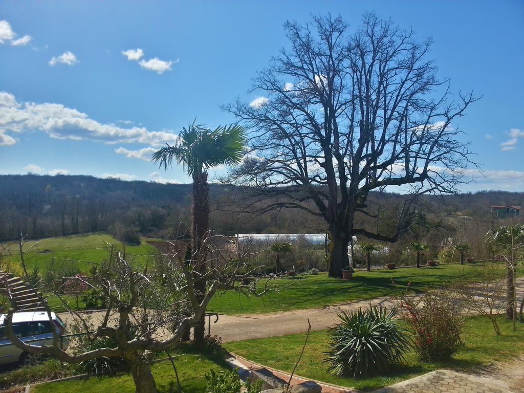 Villa Lara Karojba Стая снимка